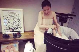 贾静雯弟弟爆料视频,独家视频曝光惊人内幕  第2张